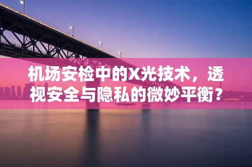 机场安检中的X光技术，透视安全与隐私的微妙平衡？