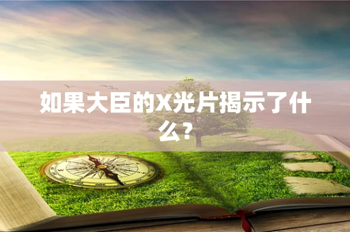 如果大臣的X光片揭示了什么？