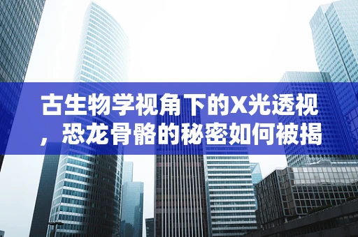 古生物学视角下的X光透视，恐龙骨骼的秘密如何被揭示？