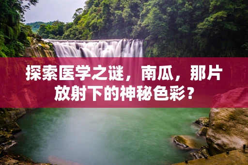 探索医学之谜，南瓜，那片放射下的神秘色彩？