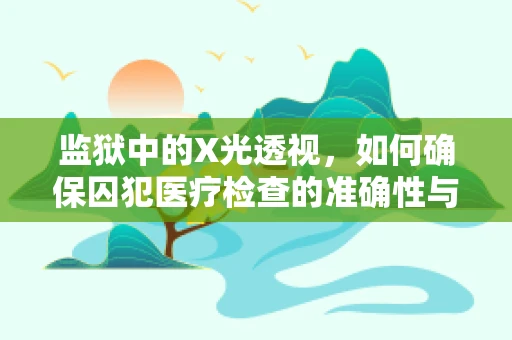 监狱中的X光透视，如何确保囚犯医疗检查的准确性与隐私？