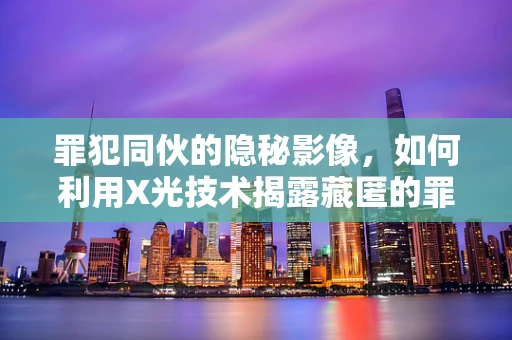 罪犯同伙的隐秘影像，如何利用X光技术揭露藏匿的罪证？