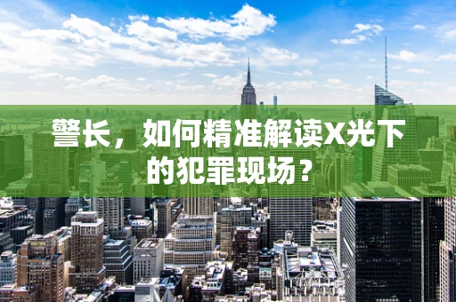 警长，如何精准解读X光下的犯罪现场？