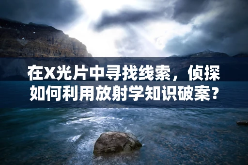 在X光片中寻找线索，侦探如何利用放射学知识破案？