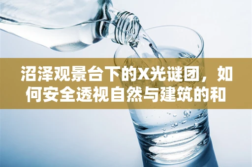 沼泽观景台下的X光谜团，如何安全透视自然与建筑的和谐共生？