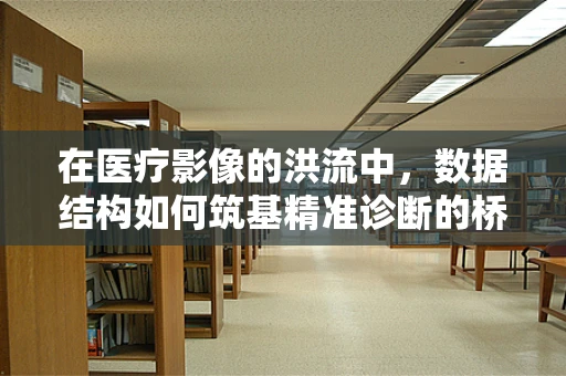 在医疗影像的洪流中，数据结构如何筑基精准诊断的桥梁？