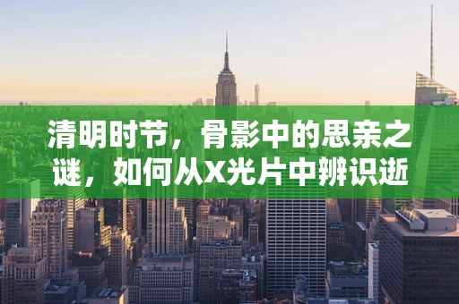 清明时节，骨影中的思亲之谜，如何从X光片中辨识逝去亲人的骨骼特征？