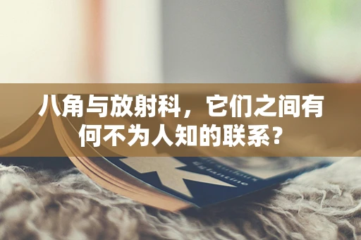 八角与放射科，它们之间有何不为人知的联系？