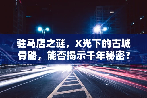 驻马店之谜，X光下的古城骨骼，能否揭示千年秘密？