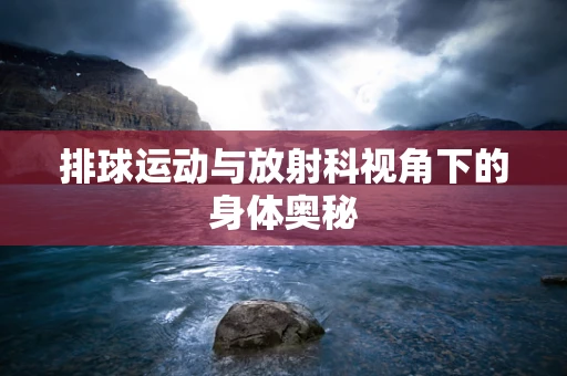 排球运动与放射科视角下的身体奥秘